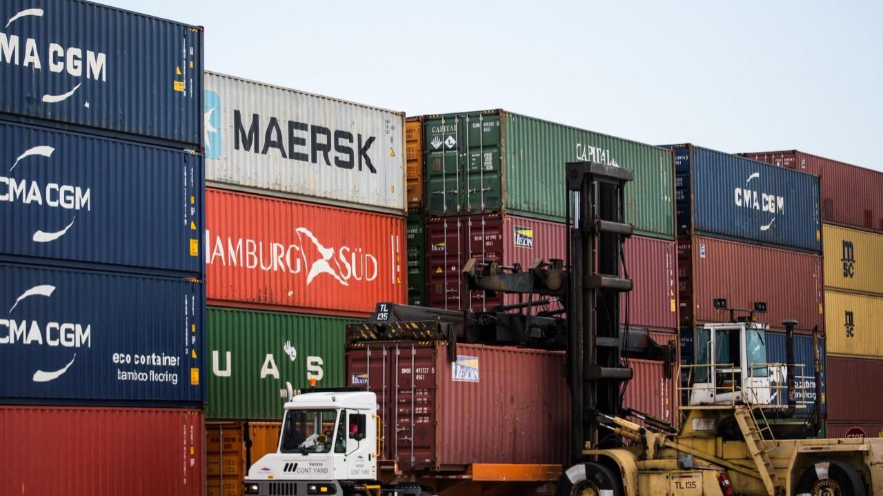 WhatsApp Image 2022-11-03 at 14.23.21