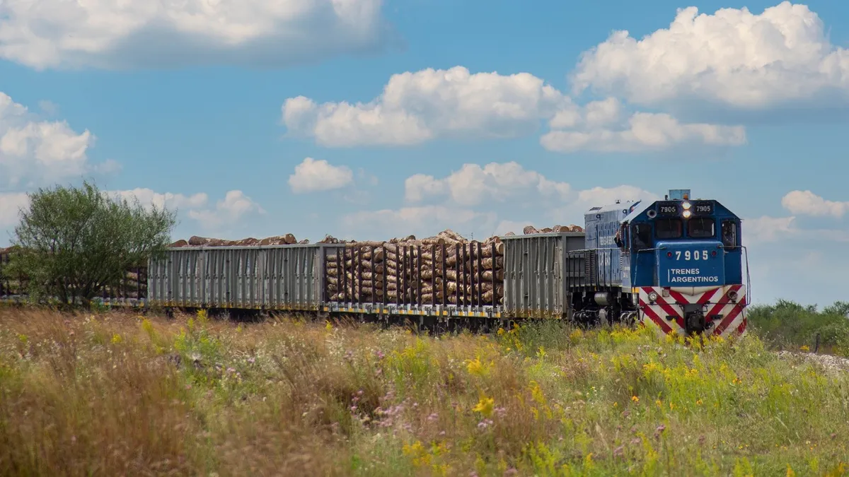 tren norpatagonico 2345