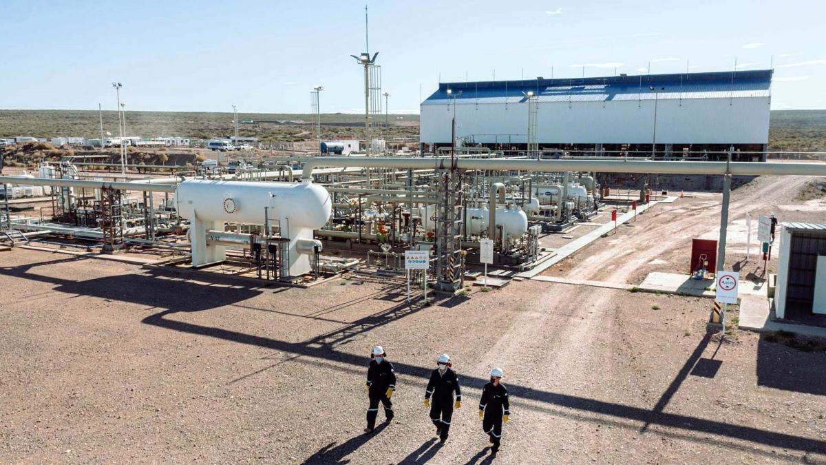 vaca muerta 1234567654321