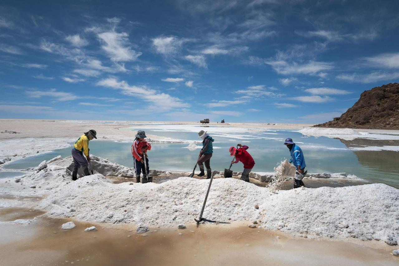 WhatsApp Image 2022-10-20 at 17.48.12