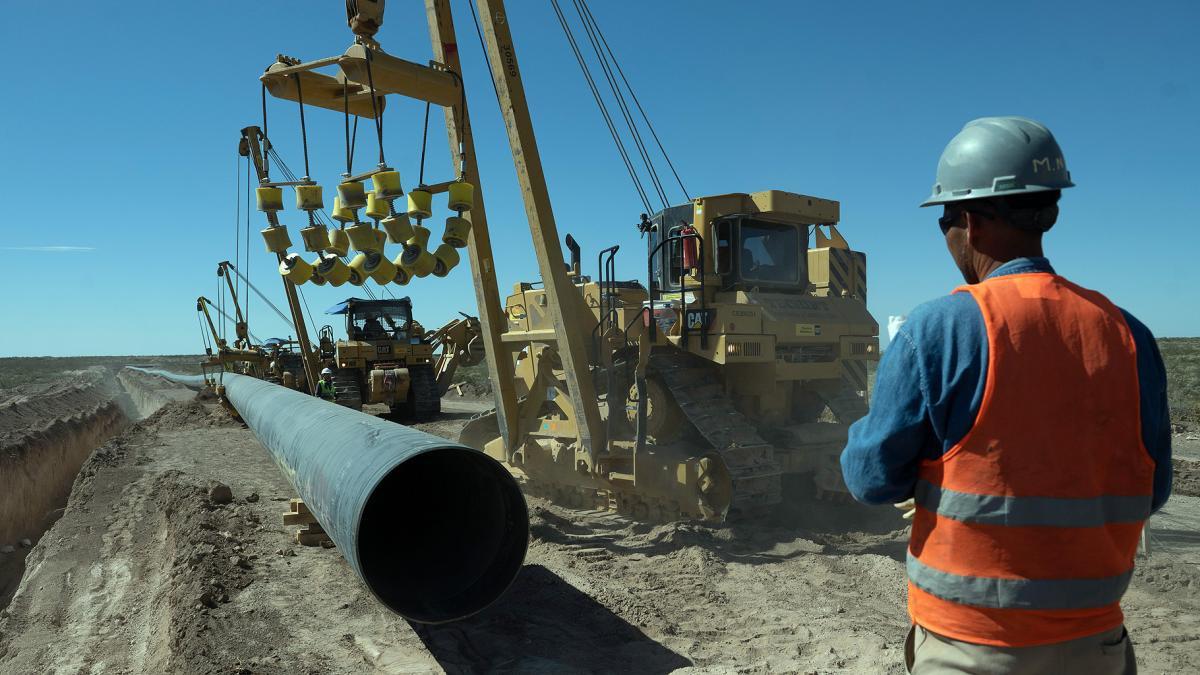 Vaca muerta noviembre 23