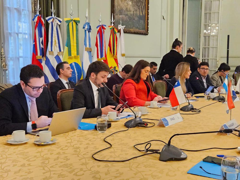 mercosur vaca muerta reunion