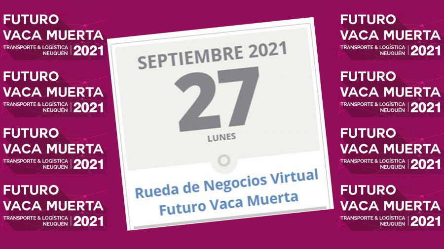 vaca muerta negocios