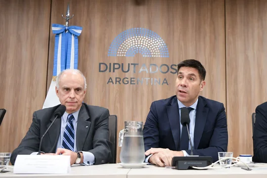 Especialistas diputados Vaca Muerta