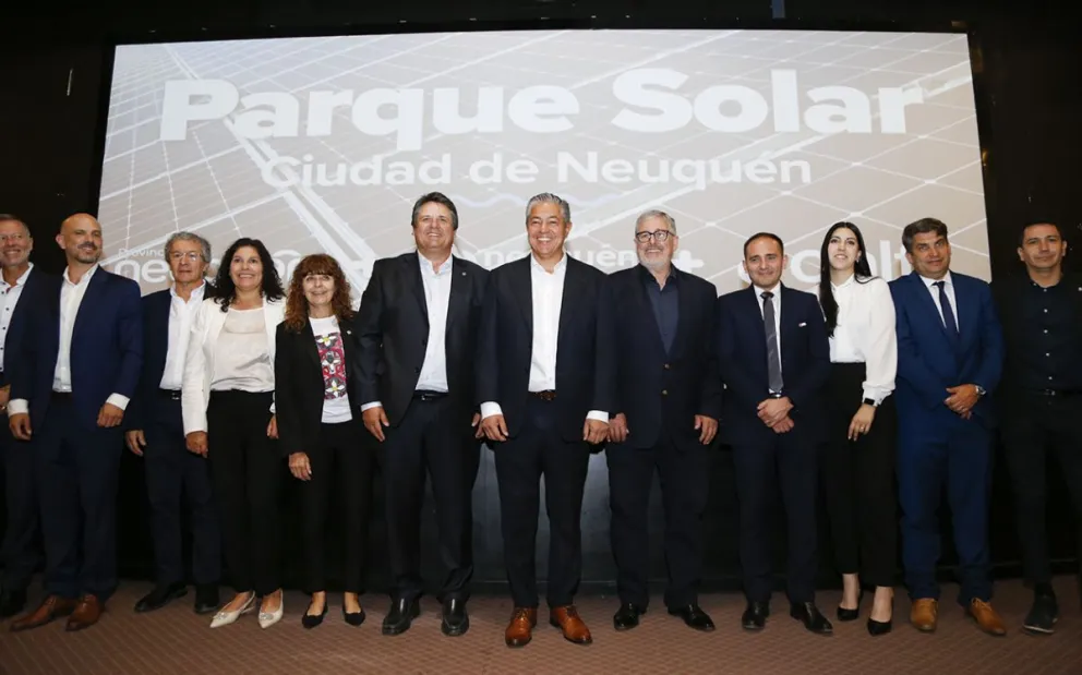 parque solar neuquen