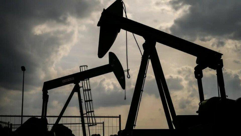 petroleo-planta-medium-size